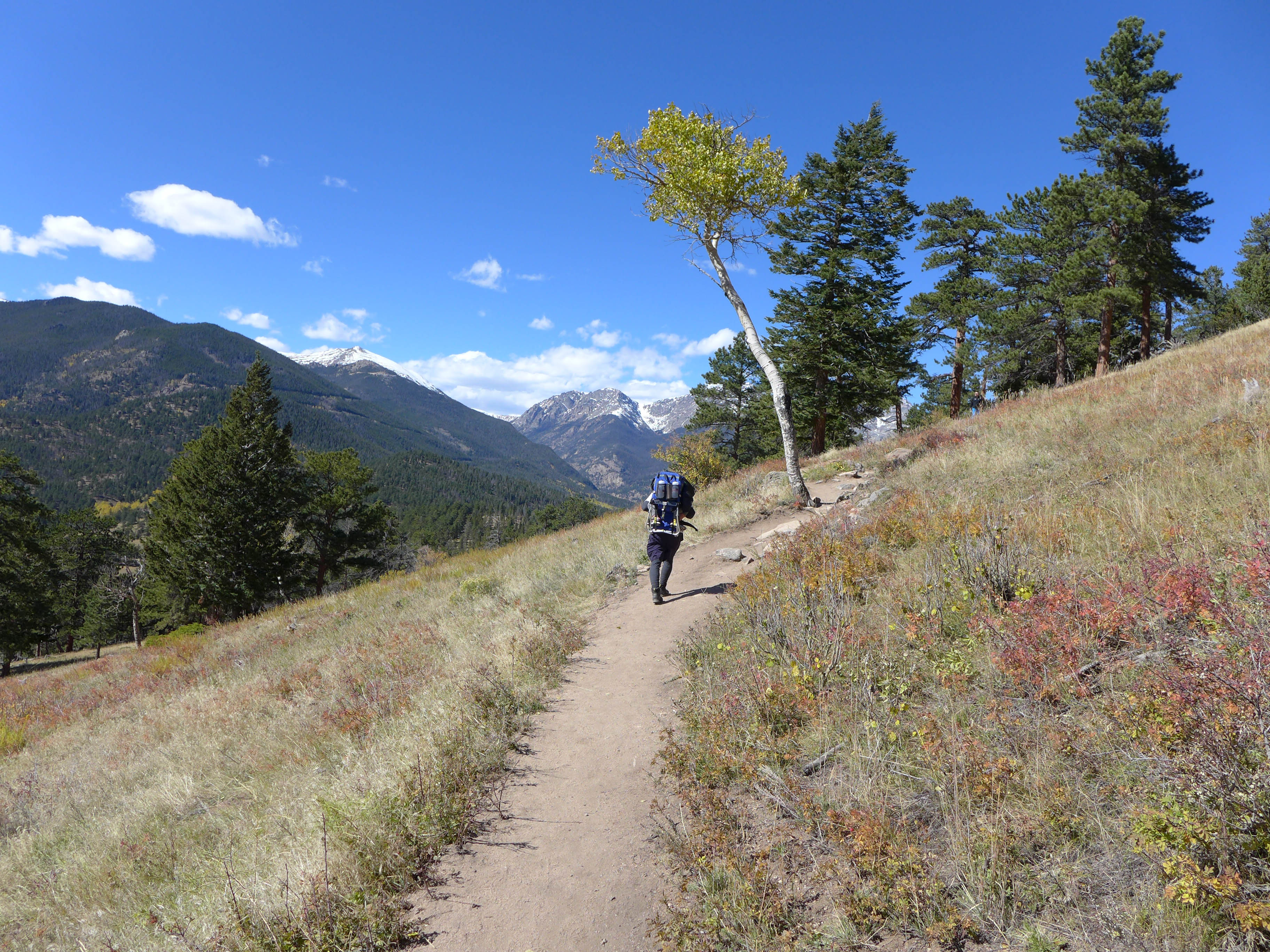 Deer Mountain Trail