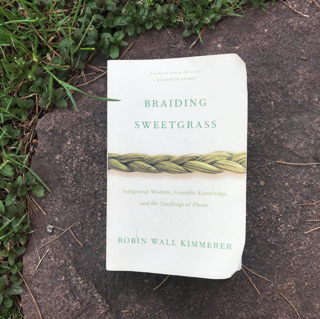 braiding sweetgrass sparknotes