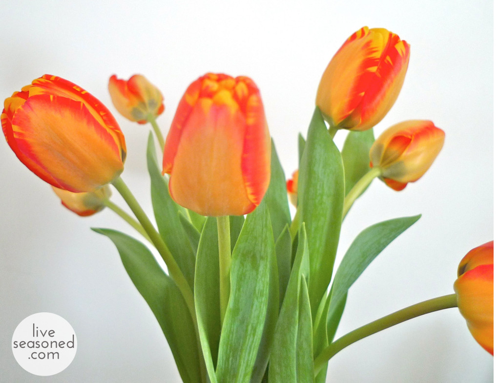 liveseasoned_spring2014_tulips_vase2_wm