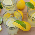 Refreshing Lemon Vodka Waters
