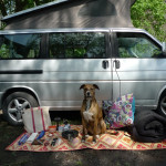 Pack Your Bags : Van Camping