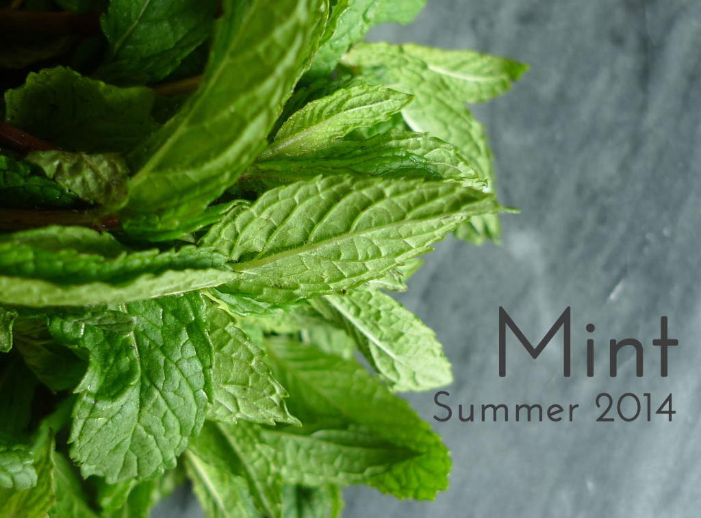 Summer 2014 : Mint