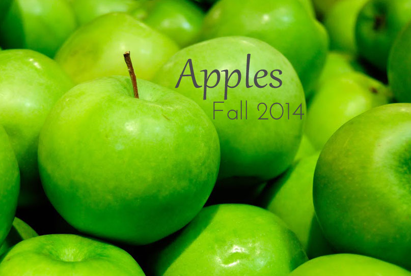 Fall 2014 : Apples