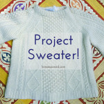 My Big Sweater Project