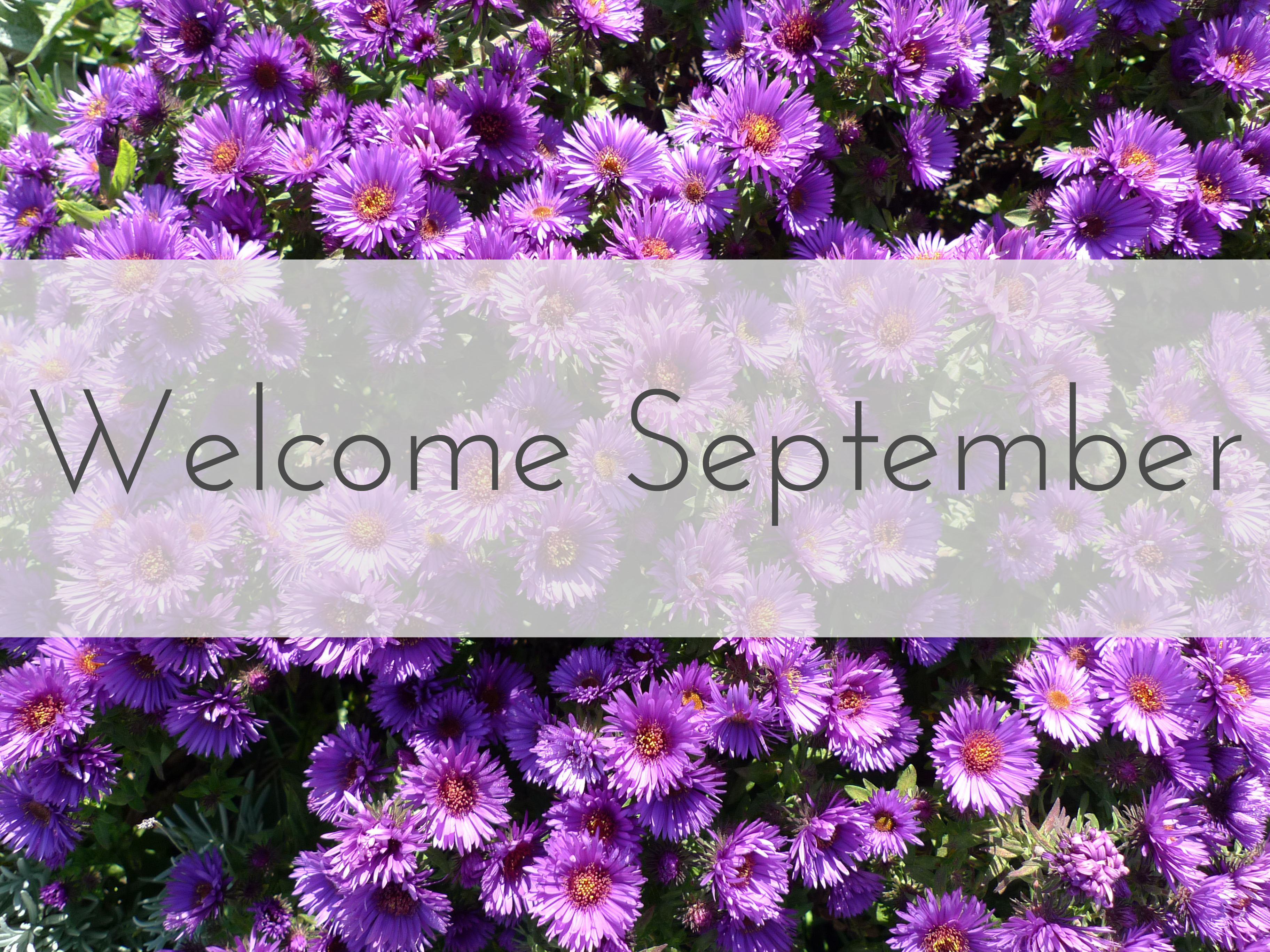 Welcome September