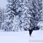 Snowshoeing in the Rockies II