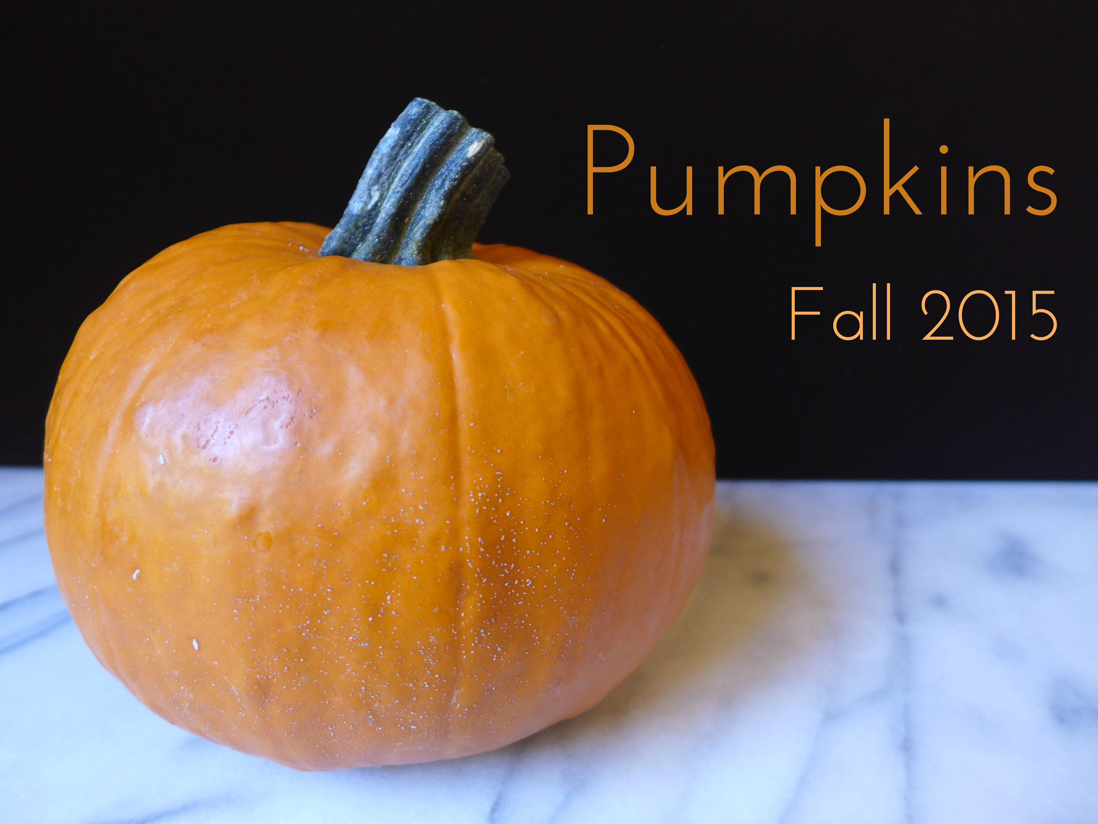 Fall 2015 : Pumpkin