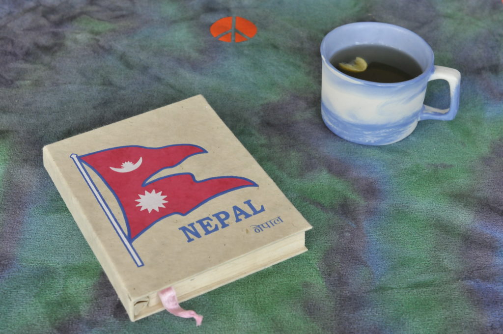 live-seasoned-nepal-rishikul-yogshala