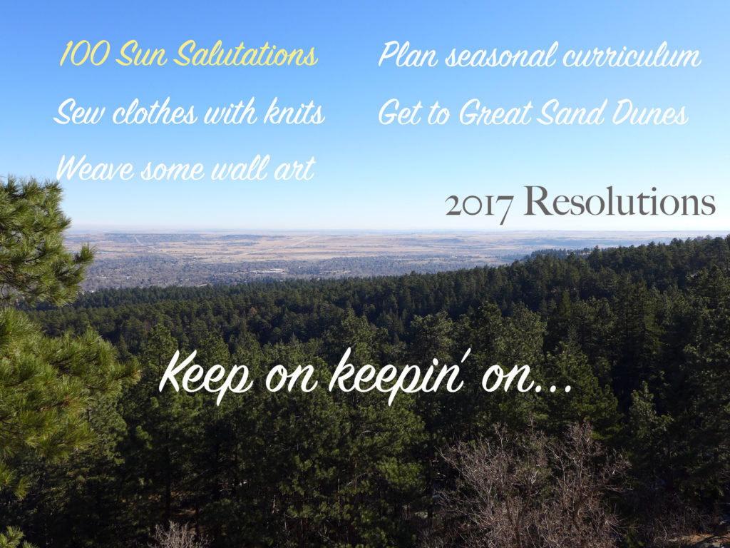 resolutions_2017b