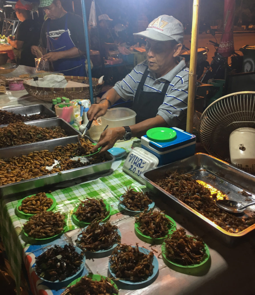 liveseasoned eat insects thailand-3-2