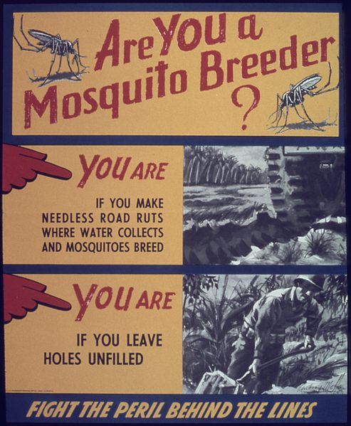 mosquito_poster