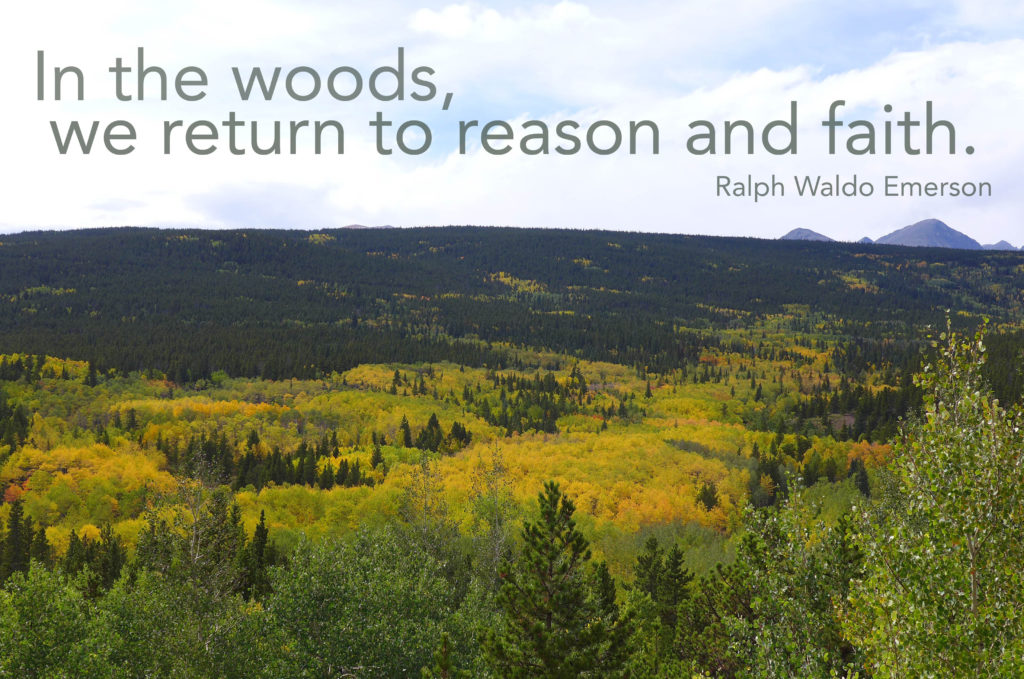 oct_hike_quote2
