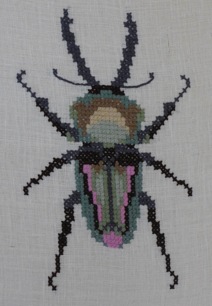 beetle_stitching8