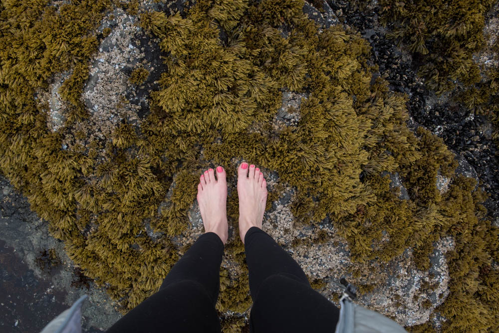 Exploring Coastal Rocks and Tidal Pools in Tofino, BC