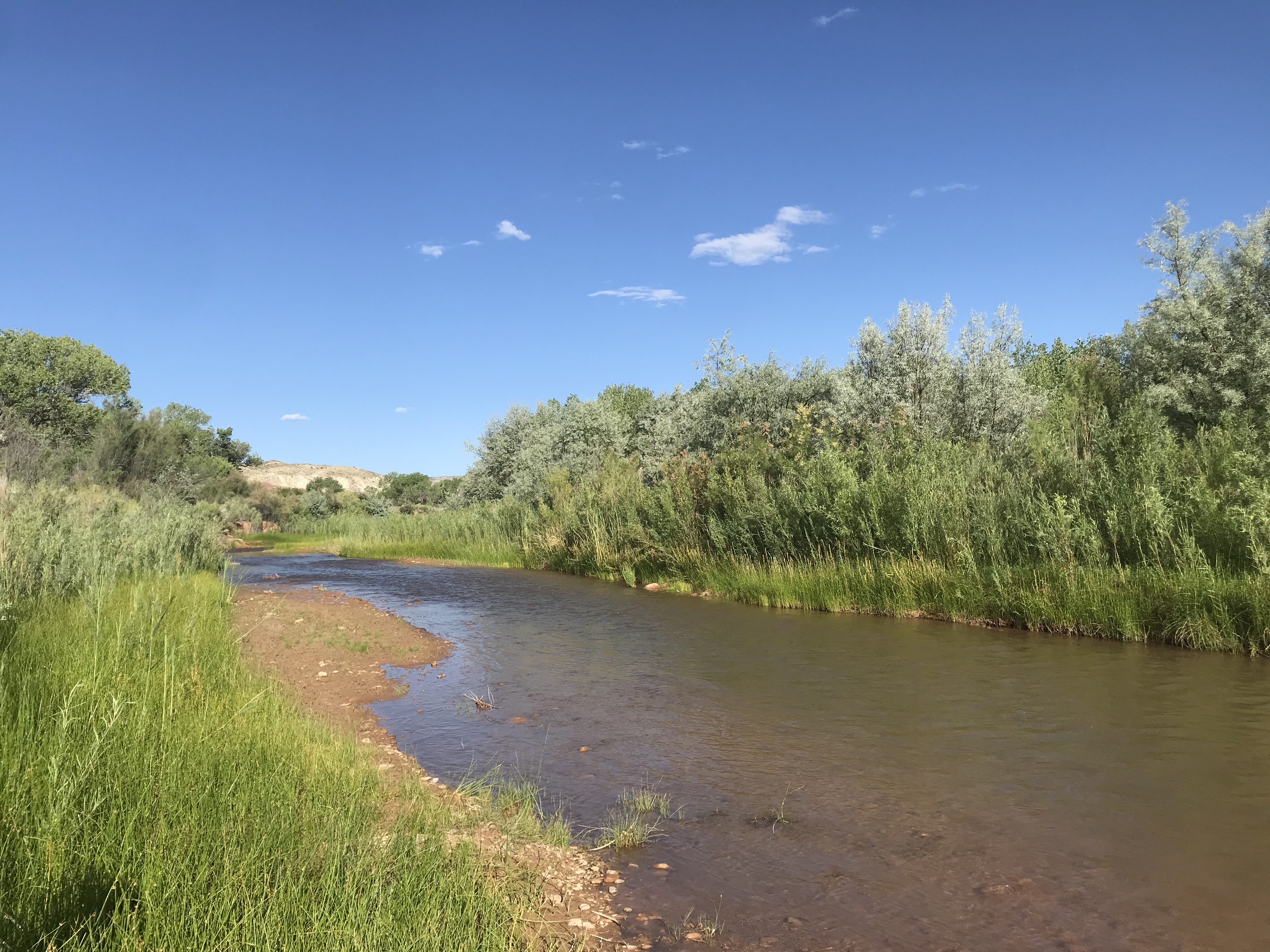 BLM Camping : Capital Reef