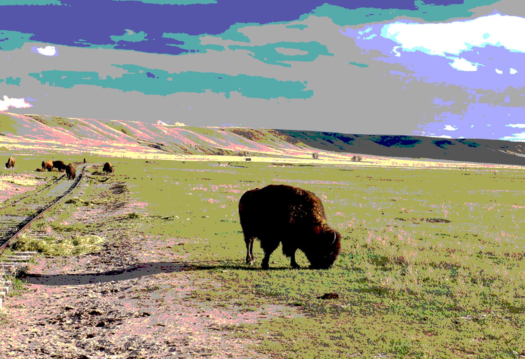 Colorful Bison Art   Cheyenne28 Art5 Copy 