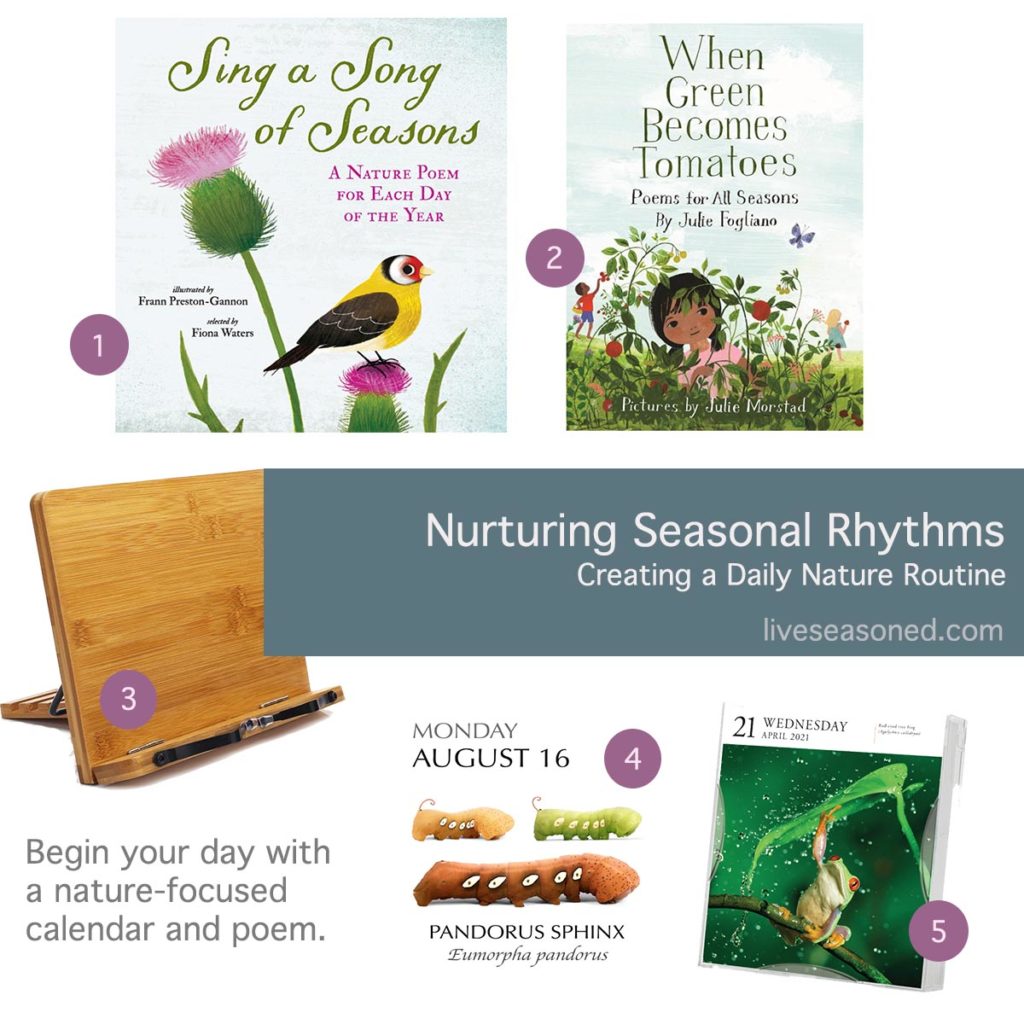 Nurturing Seasonal Rhythms