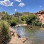 Moab Swimming Hole : Mill Creek North Fork